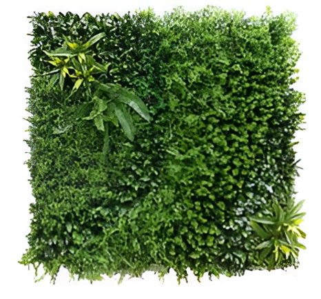 Green Walls & Artificial Grass Evergreen