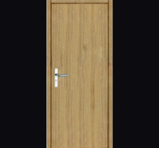 Duro Plywood Flush Door.