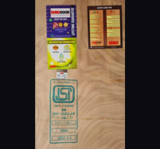 Duro Flush Door