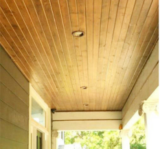 Century Ply Wooden finish PVC False ceiling panel, Thickness: 9mm