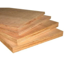 Greenply Brown Green Panel Plywood.