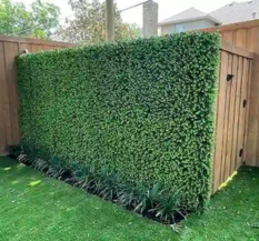 Corridor Artificial Green Wall Grass Greenscape