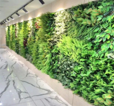 PE Wall Artificial Grass Evergreen