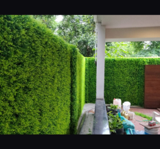 Plastic Exterior Artificial Green Grass Wall Asian Paints