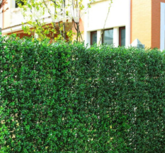PE Exterior Artificial Green Grass Wall, For Decoration, Natural