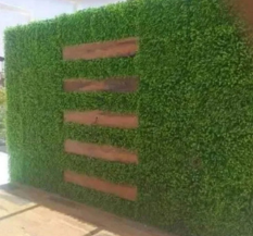 Artificial Green Grass Wall, For Outdoor Asian Paints .
