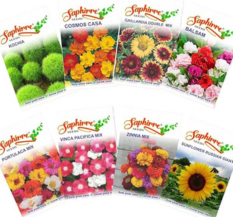 Kraft Seeds by 10club Fresh Flower Seeds for Home Gardening.