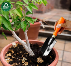 TrustBasket Gardening Hand Tools Set