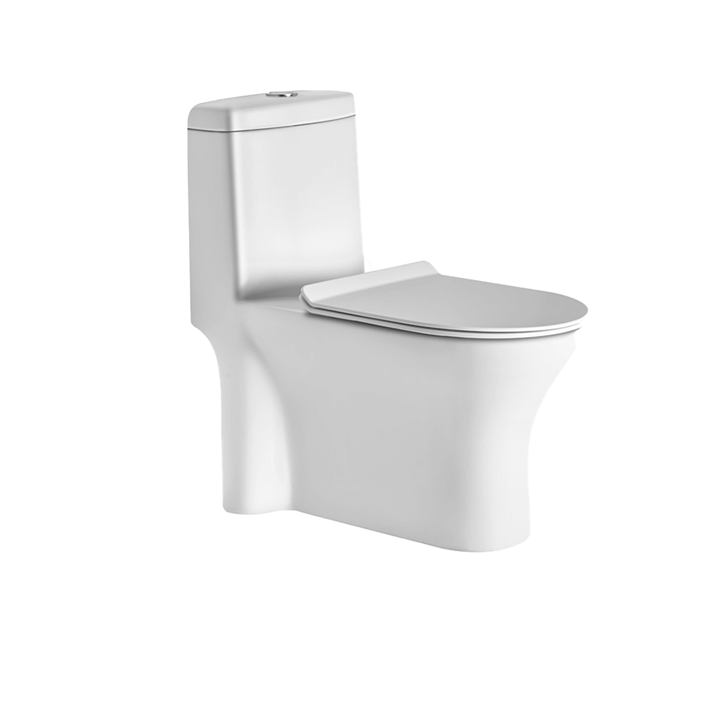 One Piece Toilets