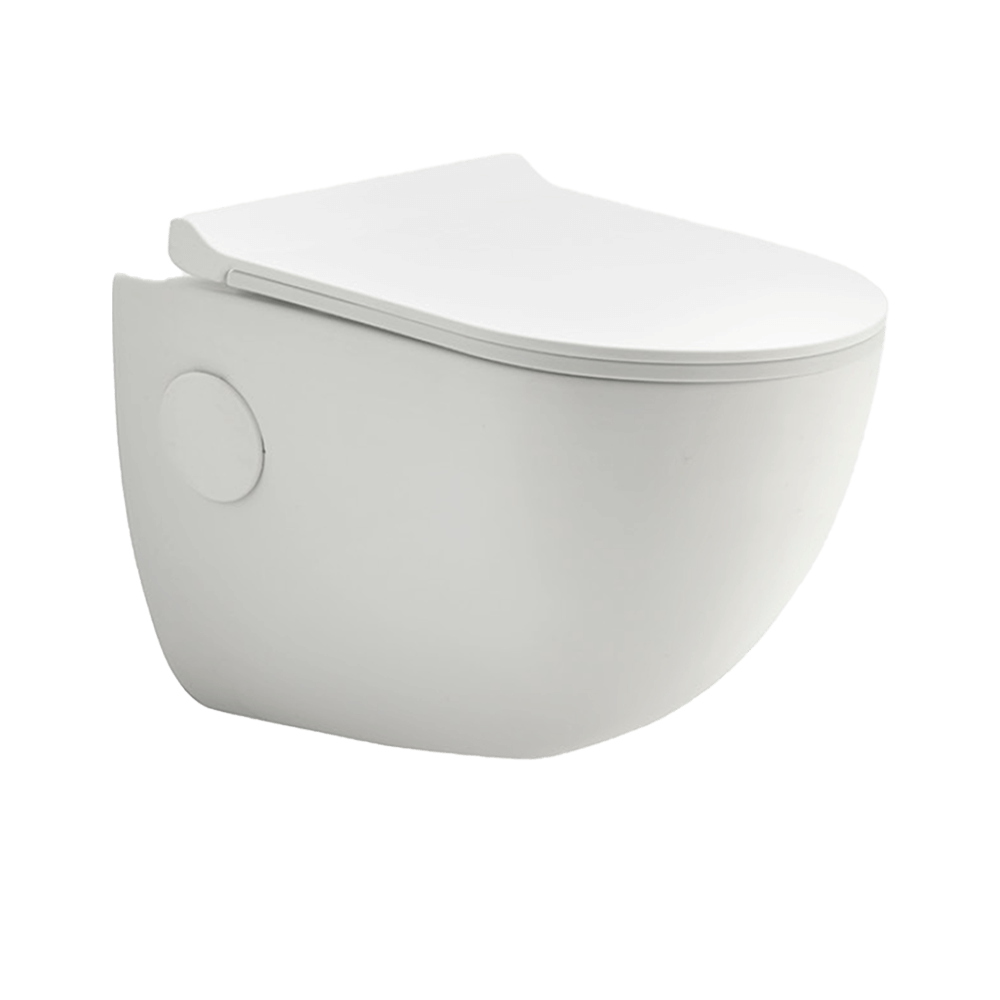 Wall Hung Toilets