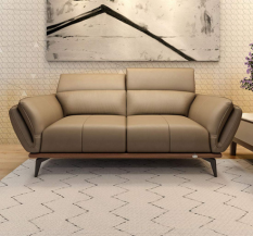 Durian Campbell Two Seater Sectional Sofa for Living Room (Dark Khaki).